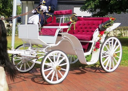 Image Detail For Wedding Carriage Horse And Rides Tips Web