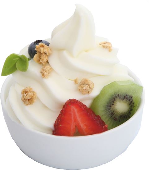 frozen-yoghurt