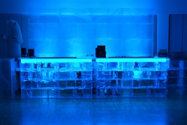 eisbar3