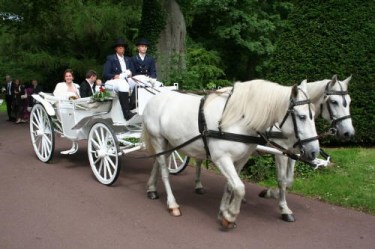 Hochzeitsauto Gorlitz Oldtimer Kutsche Mieten Fur Ihre